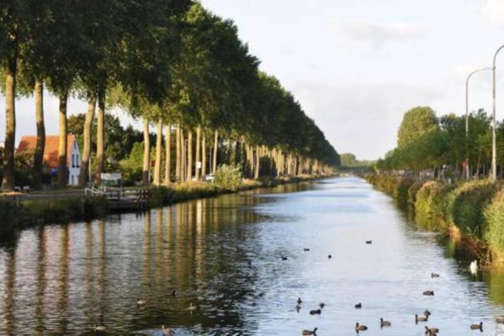 Duplex Appertement Met Zicht Damse Vaart @ Brugge Διαμέρισμα Εξωτερικό φωτογραφία